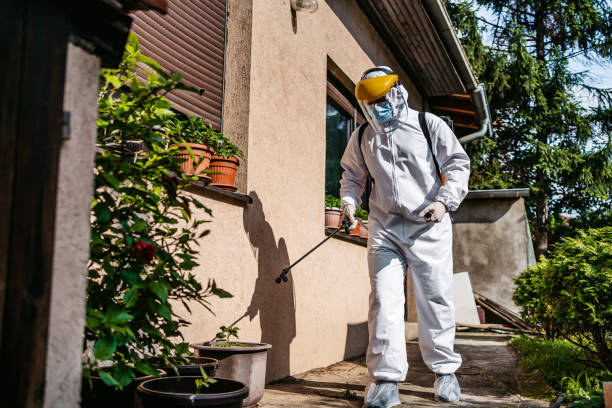 Best Flea Control Services  in Waterman, IL