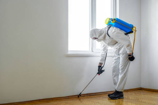 Best Insect Control  in Waterman, IL