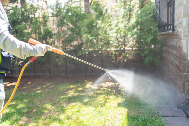 Best Mosquito Control Services  in Waterman, IL