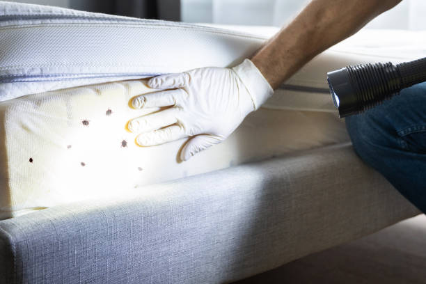 Best Pest Removal Services  in Waterman, IL