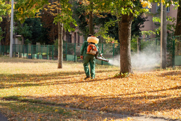 Best Pest Control Treatment  in Waterman, IL