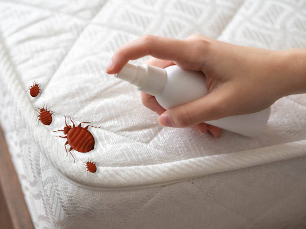 Best Best Pest Control Companies  in Waterman, IL