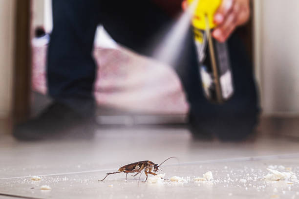 Best Pest Control Near Me in Waterman, IL