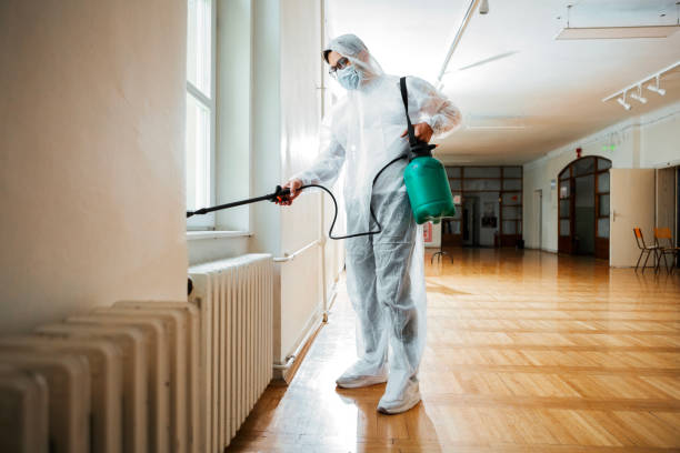 Best Wasp Removal Services  in Waterman, IL