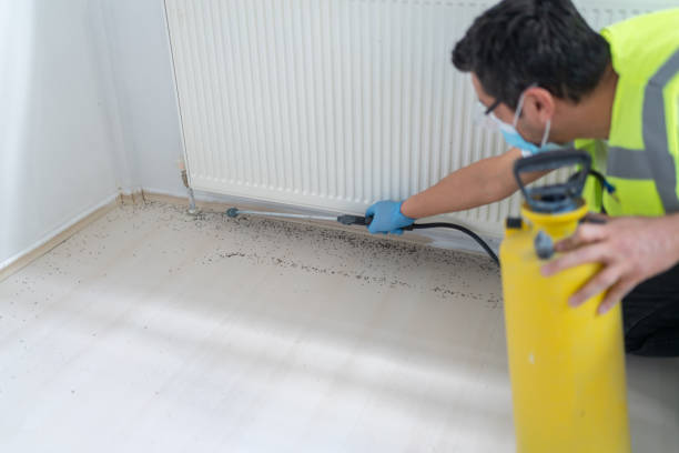 Best Best Pest Control Near Me  in Waterman, IL