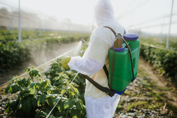 Best Wasp Removal Services  in Waterman, IL